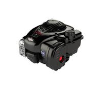 BRIGGS & STRATTON SERIE 500E 140 cc Albero 22 x 60 Motore Verticale Rasaerba