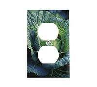Bright Cabbage Outlet Cover, piastra da parete standard americana con viti, in acciaio inox resistente al calore e agli urti, copertura per presa duplex a 1 banda per decorazione domestica