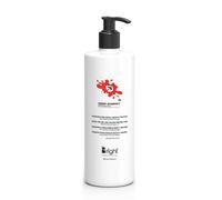 Bright Deep Energy Keratin Maschera Ristrutturante con Keratina e Argan 500ml