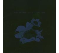 Bright Eyes - Digital Ash In A
