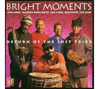 Bright Moments - Return Of The Lost Tribe