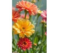 Bright Wildflowers Notebook - Lined Journal, 190 Pages, 5.5 x 8.5 Inches: Colorful Floral Writing Notebook with Vibrant Wildflower Cover Design for Journaling, Notes, Planning and Creative Writing