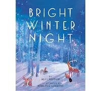 Bright Winter Night