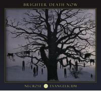 Brighter Death Now - Necrose Evangelicum (Lim.ed.-Pic-Disc)