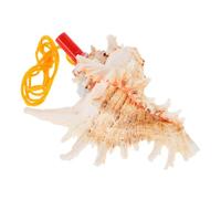 BRIGHTFUFU Corno Fischietto Mare Naturale Strumento Musicale Portatile e Facile da Pulire Giocattolo Sonoro per Campeggio e Attività Outdoor
