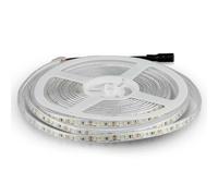 Brightium Striscia LED da 5 m, 120 luci/m, 8 W/M, temperatura di colore 6400 K, impermeabile IP65. Ideale per l'illuminazione decorativa. *
