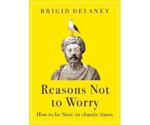 Brigid Delaney Reasons Not to Worry (Copertina rigida)