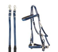 Briglia capezza inglese da endurance e trekking in PVC con redini gomma Daslo