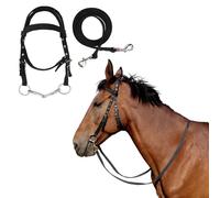 Briglia per cavallo con redine Testiera con punte Cavezza Briglia Redini Cavezza Cavezza e Corda di piombo