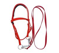 Briglia Per Cavezza Per Cavallo - Testiera Regolabile Con Fodera Morbida, Capezzina Antistrappo, Frontalino Equestre | Attrezzatura Da Equitazione All'aperto Durevole Per L'allenamento Dei , Co