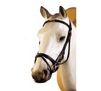 Briglie inglese in cuoio frontalino con filetto decorativo