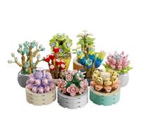 Brihappen Set di mattoncini succulenti per adulti, set di mattoncini con fiori e piante, kit di modelli botanici da costruire, regali creativi per donne e ragazze