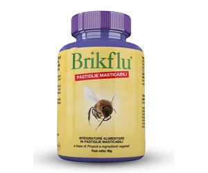 BRIKFLU CARAM PROPOLI 90G