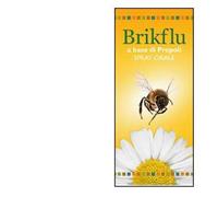 BRIKFLU Spray Nat.30ml