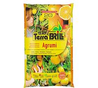 Bril Terriccio per agrumi 45 lt Terra per agrumi Limoni aranci pompelmi Kumquat