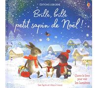 Brille, brille petit sapin de Noël !