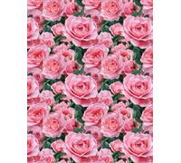 Brilliant Pink Roses - Grateful Heart: A Journey of Daily Appreciation - Gratitude Journal: 8.5 X 11 inches 150 Pages, 3 entries per page