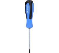 BRILLIANT TOOLS BT031014 Giravite TORX, T25 x 100 mm [Powered by KS TOOLS]