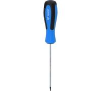 BRILLIANT TOOLS BT031038 Giravite TORX, T7 x 100 mm [Powered by KS TOOLS]