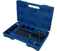 BRILLIANT TOOLS BT571020 Serie di inserti e chiavi, 18 pz [Powered by KS TOOLS]