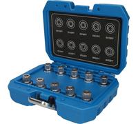 Brilliant Tools Assortimento serrature cerchi per BMW, 10pz. Quantità:1