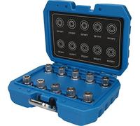Brilliant Tools Surtido de pernos antirrobo para BMW, 10 pzs - NUOVO
