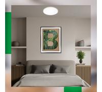 Briloner Pulap A Plafoniera a LED, bianco, Ø 33 cm, plastica Briloner