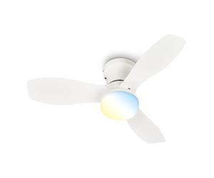 BRILONER - Ventilatore da soffitto con luce LED, telecomando, motore DC silenzioso con 3 velocità, CCT e luminosità regolabile, pale rimovibili, lampadario ventilatore da soffitto, 60 cm, bianco