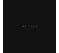 Bring Me The Horizon - That's The Spirit
