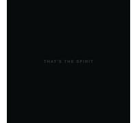 Bring Me The Horizon - That's The Spirit