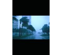 Bring Your Hammock to Work: Develop the Jungle Mindset to Hunt, Conquer, and Re-Tame your World