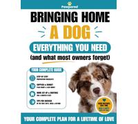 Bringing Home a Dog: Everything You Need - And What Most Owners Forget