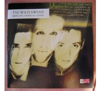 Bringing Home the Ashes