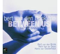 BRINK, BERT VAN DEN -TRIO - BETWEEN US -SACD-