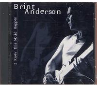 Brint Anderson - I Knew This Would Happen