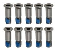 Briny River 10 Pcs Viti Per Puleggia Del Deragliatore Della Bicicletta M5×15.8 Viti Per Ruota Guida