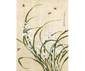 Bristlegrass Puzzle - Dinastia Qing cinese vecchio maestro Yu Zhi capolavori d'arte orchidea e ape | Puzzle da 1000 pezzi per adulti | Puzzle | Regali per adulti, compleanno puzzle di Natale (1000