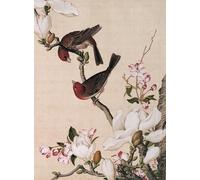 Bristlegrass Puzzle in legno 1000 pezzi dinastia Qing cinese Giuseppe Castiglione Capolavori d'arte Fiore di Begonia e Magnolia Regali Arte da collezione Pittura Puzzle (1000 pezzi)