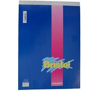 Bristol 21x29.7cm - 10 blocchi appunti