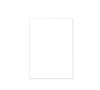 Bristol 240 Seal T3-100 - Cartoncini 35 x 50 cm, colore: Bianco