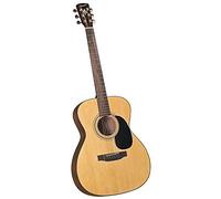 Bristol BM-16 - Chitarra