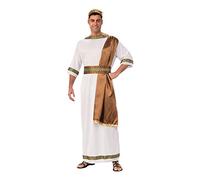 Bristol Novelty AC734 Costume da Dio Greco con Fusciacca, Marrone Taglia unica