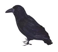 Bristol Novelty - Corvo finto per travestimenti (BN1689)