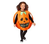 Bristol NoveltyBambini Zucca Halloween Costume (BN6113)