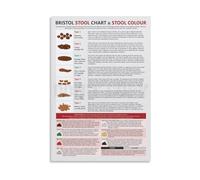 Bristol Stool Chart Poster Digestive Health Guide Canvas Print for Bathroom Doctor Office Clinic Wall Decor Medical Reference(Unframed,12X18inch(30X45cm))