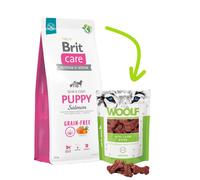 BRIT CARE Dog Grain-free Puppy Salmone 12kg + WOOLF Mini Lamb Bone 100g GRATIS!