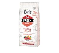 Brit Dog Fresh Puppy Manzo & Zucca Grande Razza 12kg