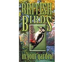 British Birds in Your Garden