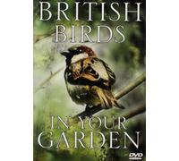 BRITISH BIRDS IN YOUR GARDEN [Edizione: Regno Unito]