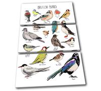 British Birds Watercolour Animals TREBLE TELA parete arte foto stampa